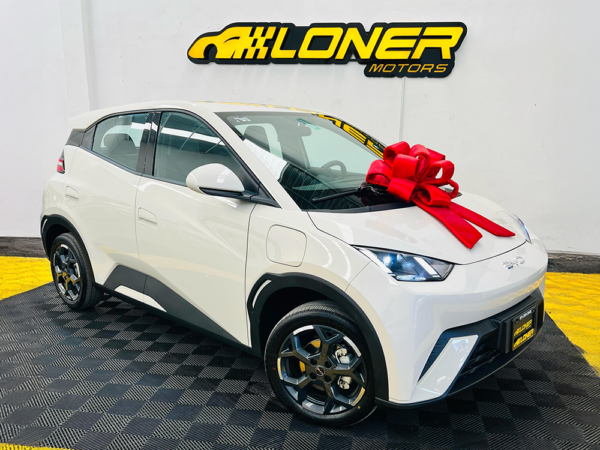 BYD DOLPHIN MINI 2026 - Image 2