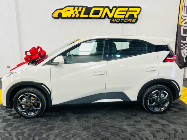 BYD DOLPHIN MINI 2026 - Image 6